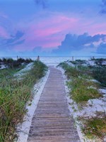 Sunrise Walk Fine Art Print