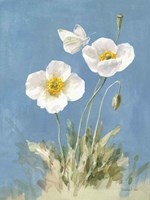 White Poppies I Framed Print