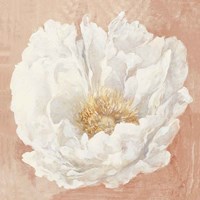 Serene Peony Terracotta Fine Art Print
