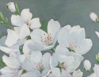 Spring Apple Blossoms Fine Art Print