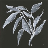 Branch II Framed Print