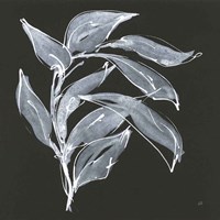 Branch I Framed Print