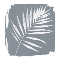 Nature by the Lake Frond II Sq Natural Fine Art Print