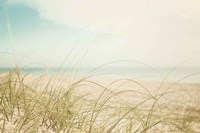 Beach Grass V Light Fine Art Print