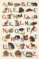 Schoolhouse Alphabet Fine Art Print