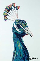 Pop Peacock I Fine Art Print