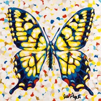 Pop Butterfly I Fine Art Print