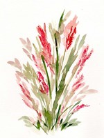 Pink Lavender Fine Art Print