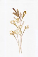 Farmhouse Wheat & Cotton Fine Art Print