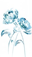 Blue Peonies I Fine Art Print
