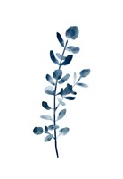 Farmhouse Eucalyptus blue Fine Art Print