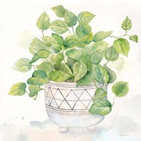 Houseplant I-Philodendron Fine Art Print