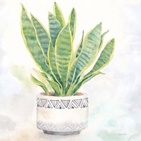 Houseplant IV-Snake Plant Fine Art Print