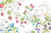 Berries and Bees I Fine Art Print
