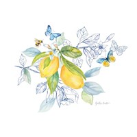Lemon Sketch Book II Fine Art Print
