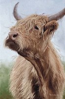 Highland portrait I Fine Art Print