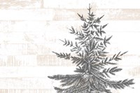 Lake Resort Fine Art Print