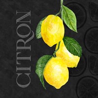 Live with Zest V Fine Art Print