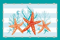 Coral Aqua II on Teal Fine Art Print