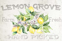 Lemon Grove I Fine Art Print