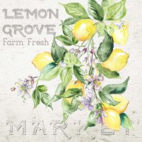 Lemon Grove II Framed Print