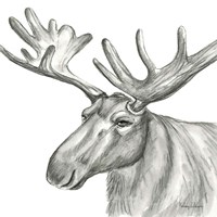 Watercolor Pencil Forest I-Moose Fine Art Print