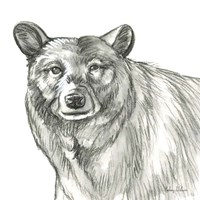 Watercolor Pencil Forest V-Bear Fine Art Print