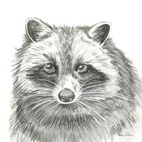 Watercolor Pencil Forest VI-Raccoon Framed Print