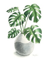 Potted Exotics II Fine Art Print
