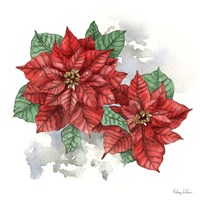 Winter Poinsetta II Fine Art Print