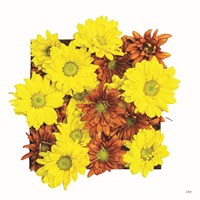 Floral Pop III Fine Art Print