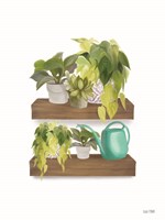 Plant Lover Shelves Fine Art Print