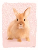 Spring Bunny Fine Art Print