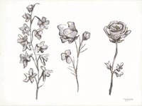 Floral Trio Fine Art Print