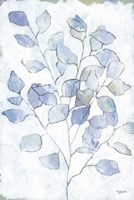Cool Eucalyptus Fine Art Print