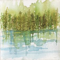 Forest Reflections Fine Art Print