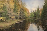 Reflections of Nature Fine Art Print