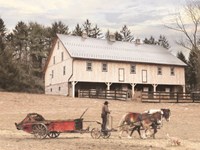 Winter Fertilizing Fine Art Print