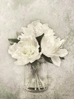 White Simplicity Fine Art Print