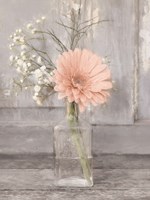 Farmhouse Floral IV Framed Print