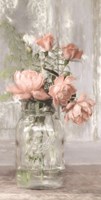Cottage Peach Roses Framed Print