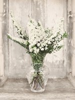 Bridal Veil Flowers Framed Print