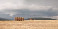 Stormy Day Harvest I Fine Art Print