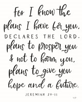 The Plans I Have For You Fine Art Print