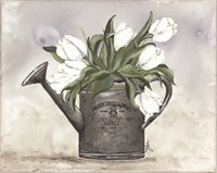 Watering Can Tulips Fine Art Print