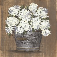 Heavenly Hydrangeas I Fine Art Print