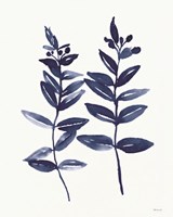 Nature in Indigo 3 Framed Print