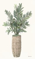 Foliage in Woven Pot 2 Framed Print