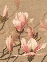 Antique Botanical Collection 4 Fine Art Print