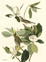 Vintage Bird 2 Framed Print